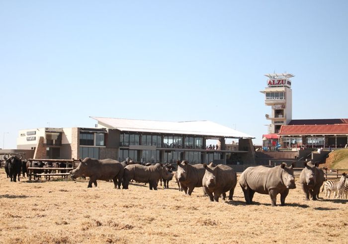 Abb. 2.2.5: Mittagspause am ALZU Petropoort mit Tierleben.