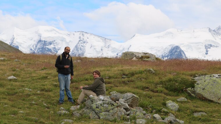 Field work in the Alps