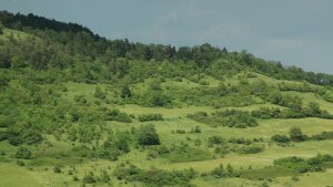 Leutra near Jena