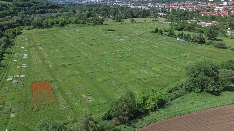 Jena Experiment aerial photograph