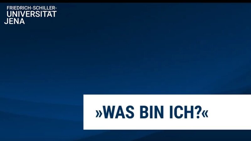Platzhalterbild — Screenshot