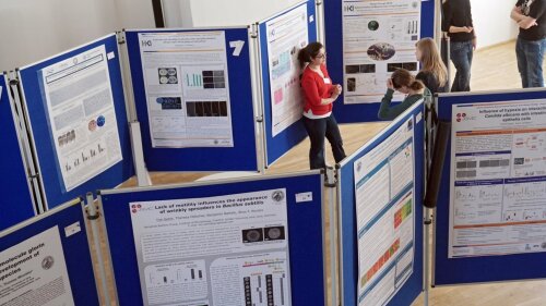 Poster session at MiCom conference