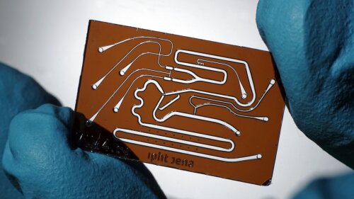Microfluidic chip to analyze blood samples.