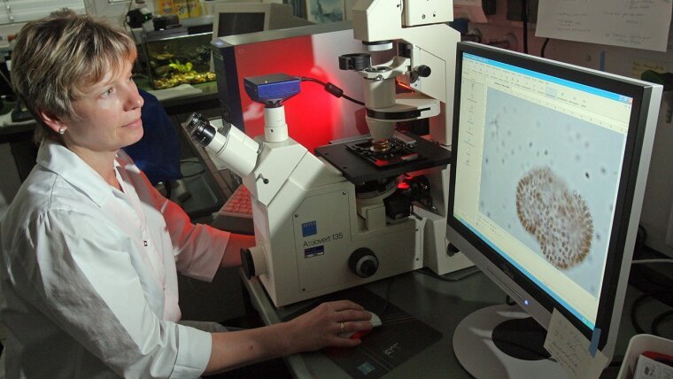 Woman looking at a computer simulation