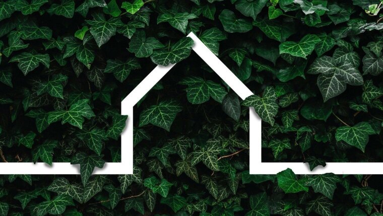 Efeu überwächst Haus (Symbolbild)