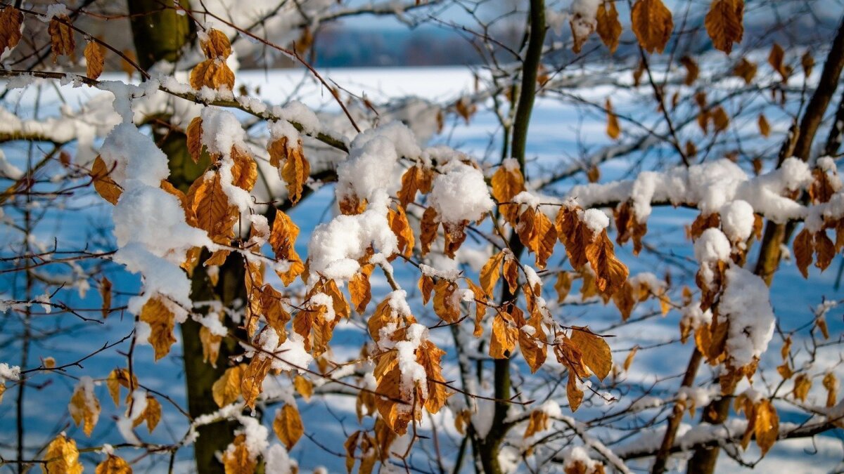 Winter Semester 2025/26