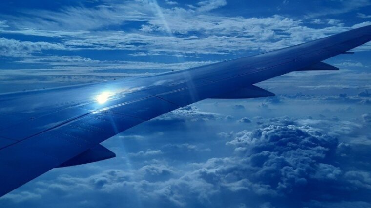 Flug