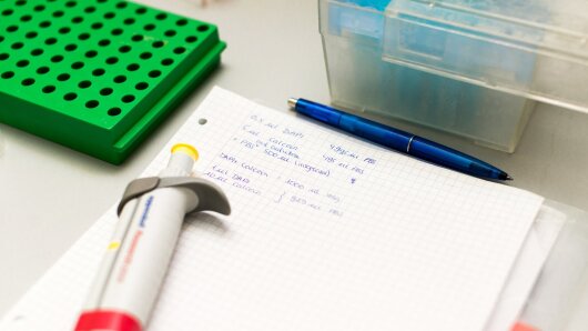 Mitschriften aus Ernährungswissenschaften