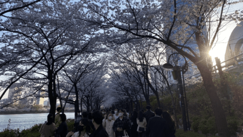 Seokchon Lake