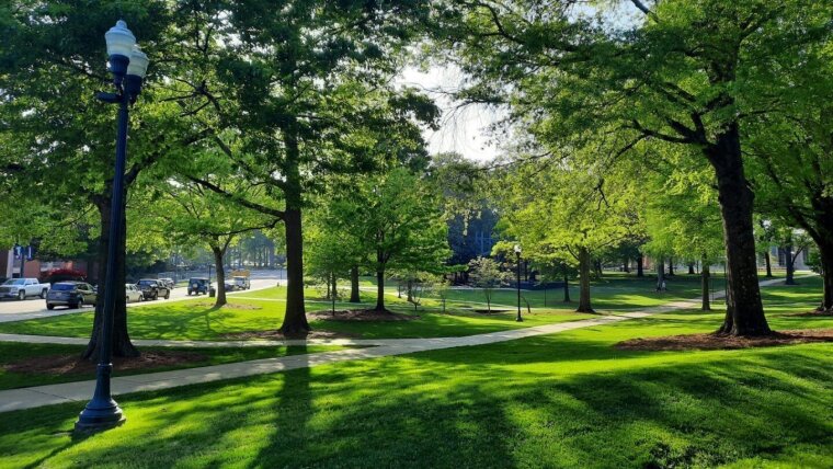 Erfahrungsbericht University of Mississippi
