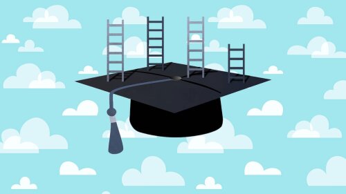 Different career paths after a doctorate