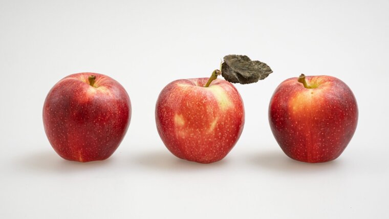 Zum Auftakt der Gesundheitswoche werden am 22. Mai im Foyer des Campusgebäudes (Carl-Zeiß-Straße 3) und in der Mensa am Ernst-Abbe-Platz gratis Äpfel verteilt.