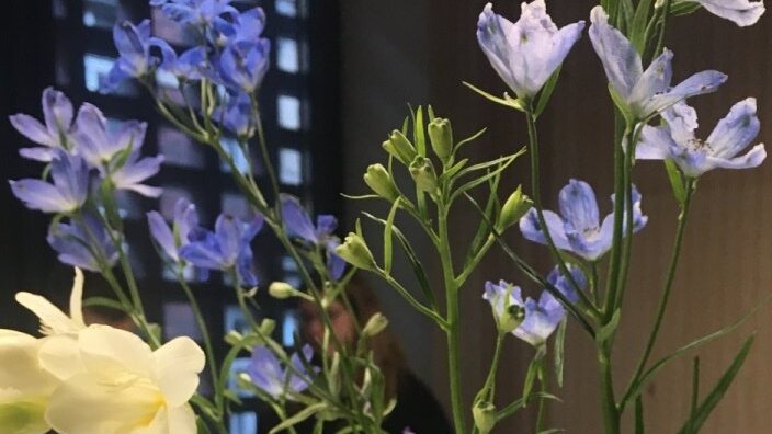 Frühling