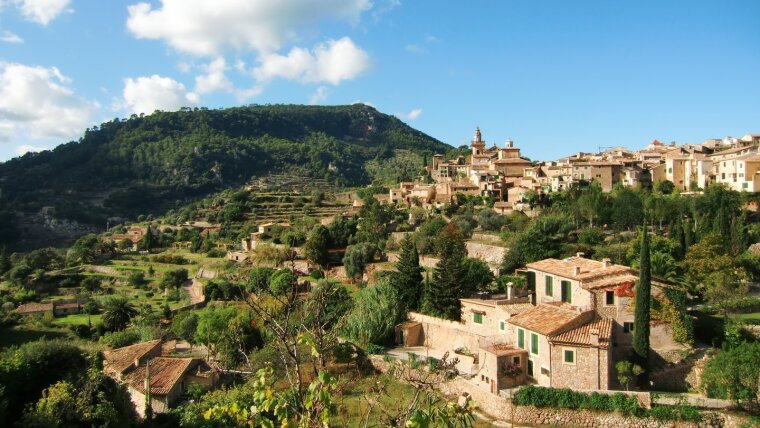 Village