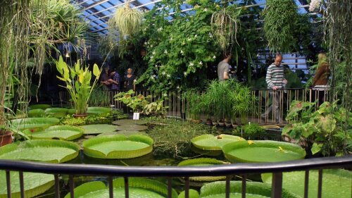 Botanischer Garten
