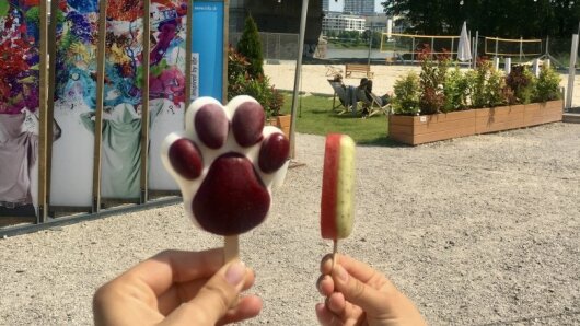 Eis in Bratislava