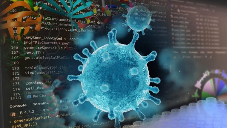The European research platform Appeal is looking for new antiviral agents.