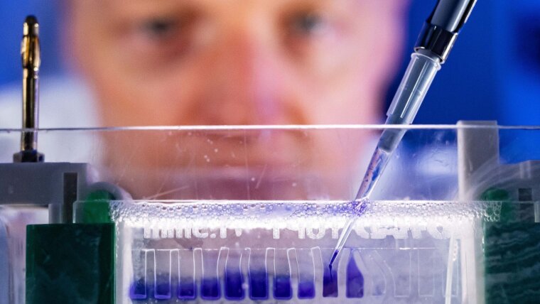 Dr Holger Bierhoff does research on proteins of breast cancer cells.