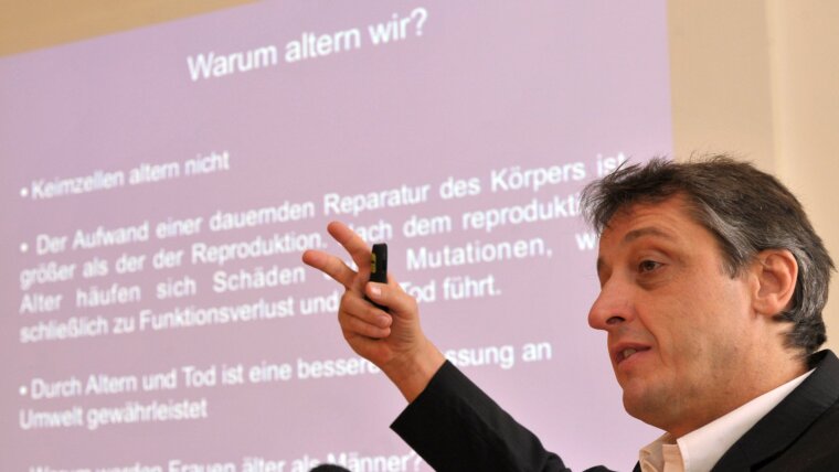 Scientist presents findings on ageing research at a conference