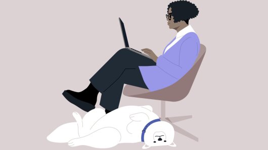 Kolleg:in mit Bürohund