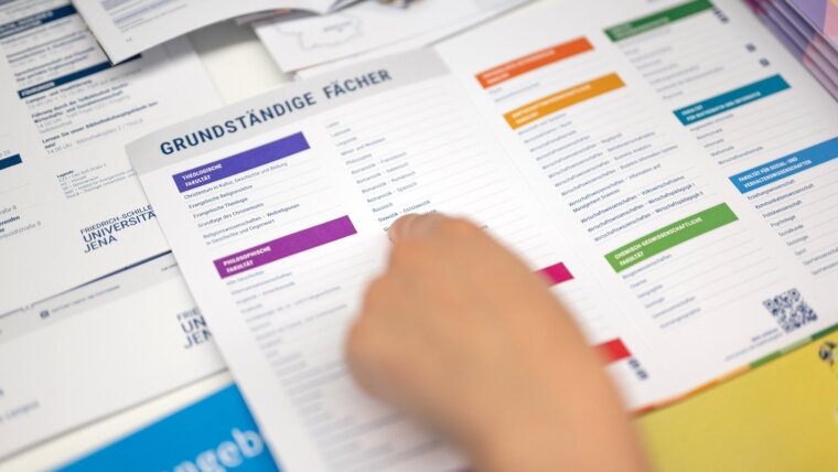 Overview of the undergraduate study programmes