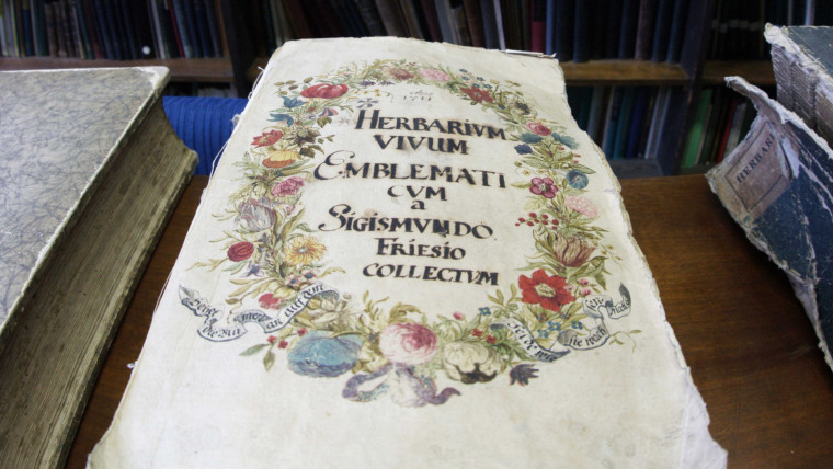 The new institute in Jena houses the Herbarium Haussknecht – one of the most important European collections of plants with around 3.5 million specimens.