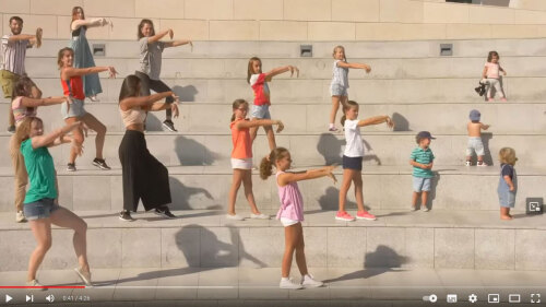 Dance your PhD 2019 WINNER: Social experiences in larval zebrafish and their brains