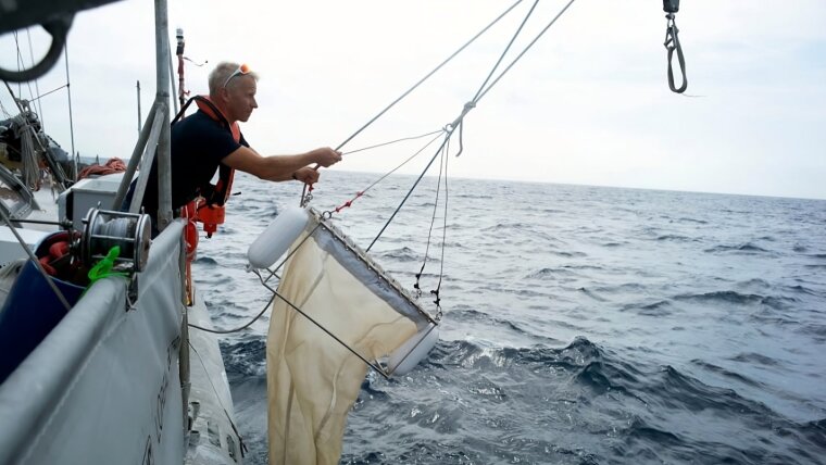 The research team collects for their studies unicellular microalgae from the sea.