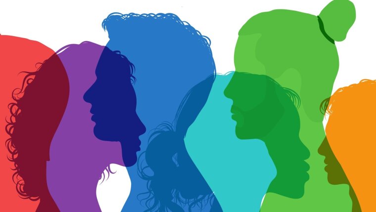 Geschlecht, Gender und Diversität