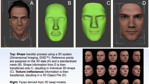 Different faces reconstructed with a 3D camera system.