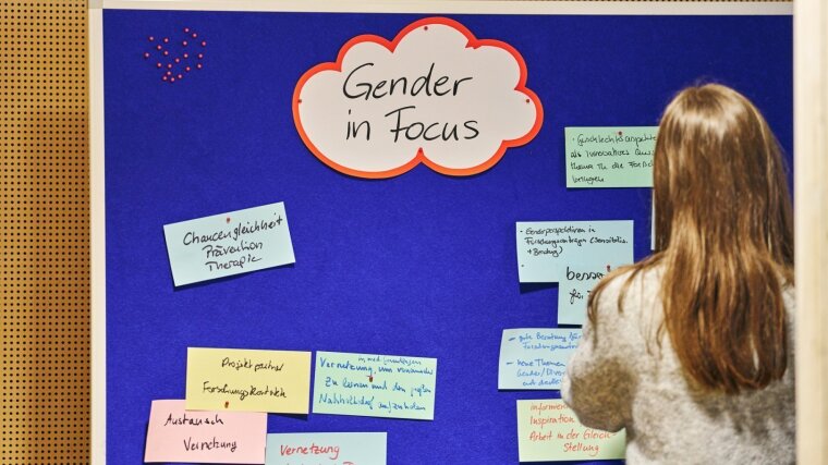 Pinboard with posts attached to it