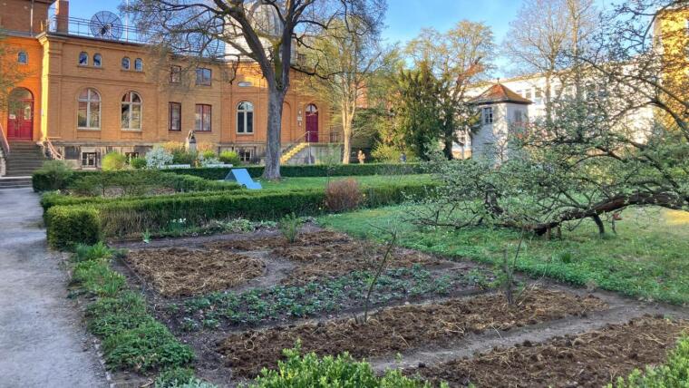 Urban Gardening Projekt in Schillers Gartenhaus