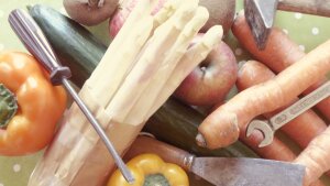 Ernährungswerkstatt