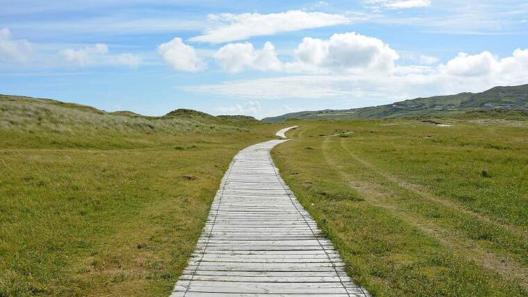 Ein Bohlenweg führt scheinbar ohne Ziel über eine große Wiese. Symbolbild für die 404-Seite.