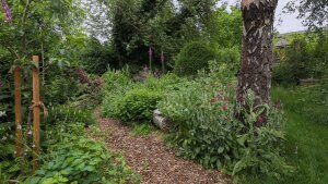 Beete mit stehendem Totholz und Holzweg