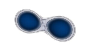 Simulation der Verschmelzung zweier Neutronensterne (Darstellung der Massendichtekonturen).