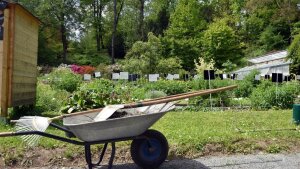 Schubkarre im Botanischer Garten der Friedrich-Schiller-Universität