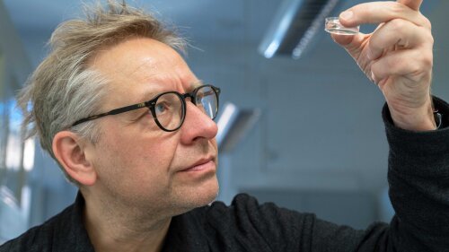 Der Evolutionsbiologe Prof. Dr. Andreas Hejnol betrachtet Pantherwürmer (Hofstenia miamia) in einer Petrischale.