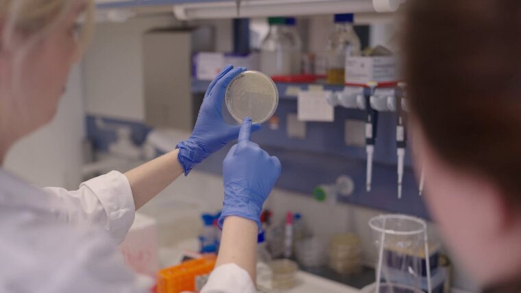 Die Jenaer Mikrobiologin Dr. Kathrin Fröhlich und ihr Team haben einen bisher unbekannten Überlebensmechanismus bei Bakterien entdeckt.