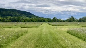 Ein Teil der Daten wurde beim Jena-Experiment erhoben, einem der zwei Forschungsprogramme, die in der Studie vorkommen.