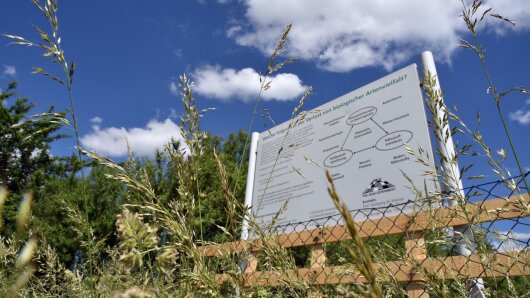 Biodiversity experiment The Jena Experiment