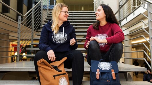 Students in the university