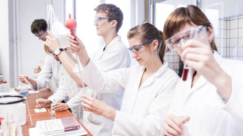 Studierende arbeiten im Labor