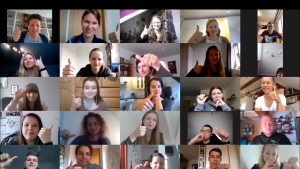 Screenshot Zoom Seminar