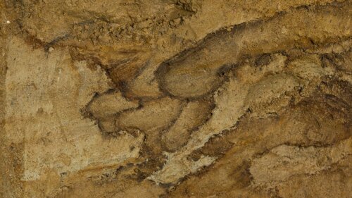 Bodenprofil