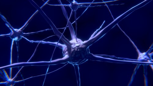 Animation einer neuronalen Synapse.