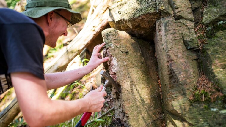 Student beim geologischen Geländepraktikum