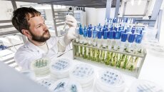 A young man looks at samples and explores microbial processes in a pharmaceutical laboratory