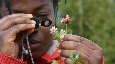A young biogeosciences student uses a magnifying glass to determine a plant in a test area