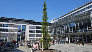 A newly planted tree on the Abbe Campus of Friedrich Schiller University Jena.